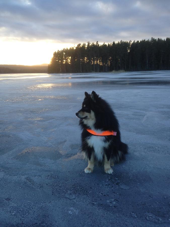 Mora Vandrarhem Och Gaesthem Vinäs Екстериор снимка